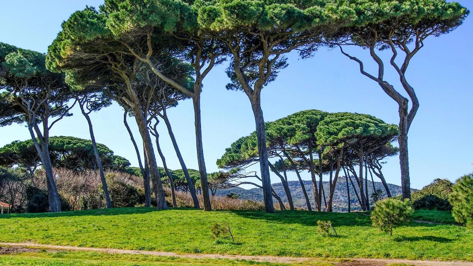 Beautiful Apartment In Piombino