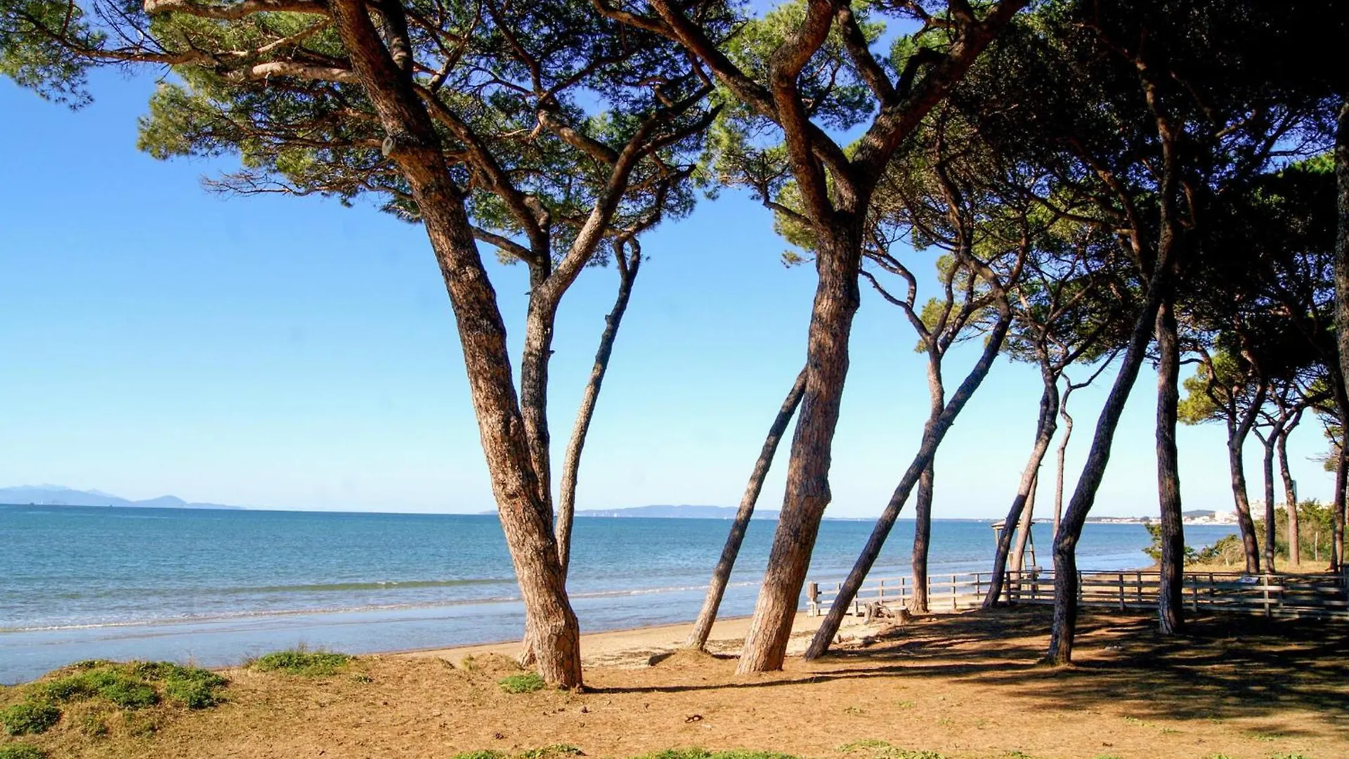 Beautiful Apartment In Piombino Italy